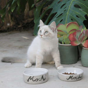 This cat food and water set is personalised with your beloved cat's name.  It has a white glazed interior keeping it hygienic and easy to clean while the exterior is left in it's natural state, celebrating this gorgeous speckle clay.   Both bowls will be personalised with your cat's name so please advise us of your pet's name above when placing an order. As this is a customised item please allow 4 weeks to process the order.   In case you were wondering, Mochi is a Japanese dessert! 